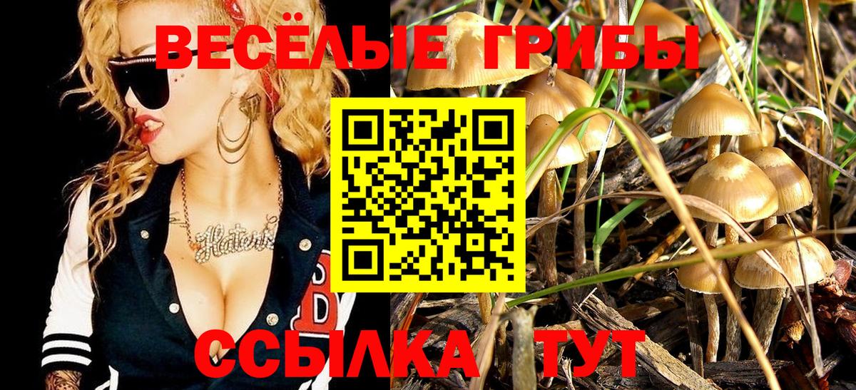Галлюциногенные грибы ЛСД Саратов